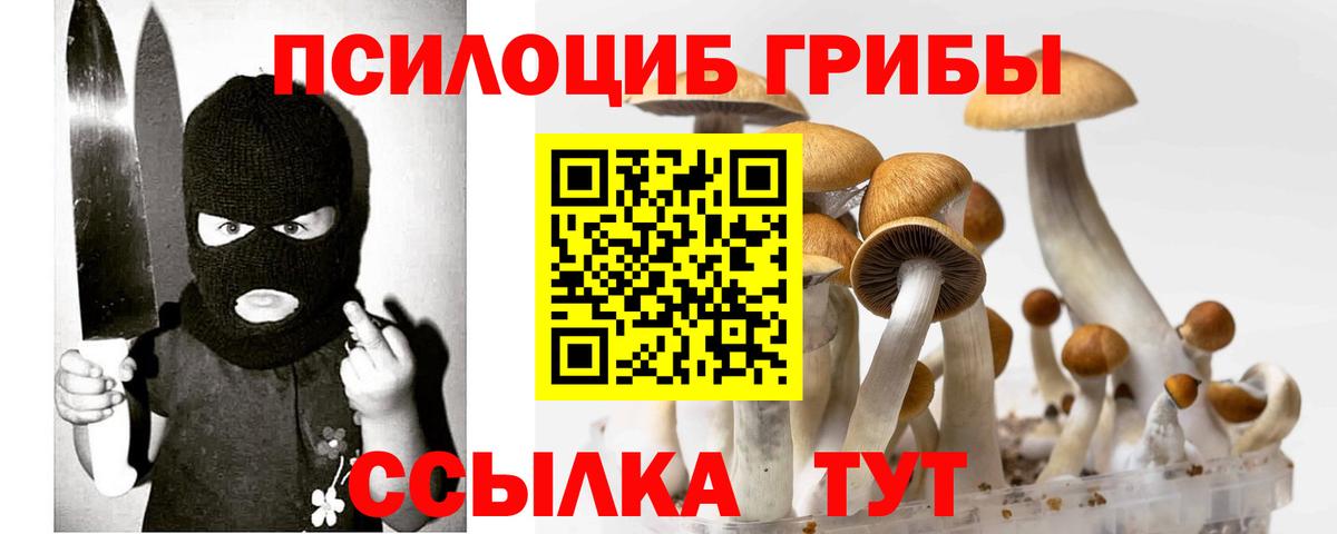 Галлюциногенные грибы Psilocybe  Вход с VPN  Надым 
